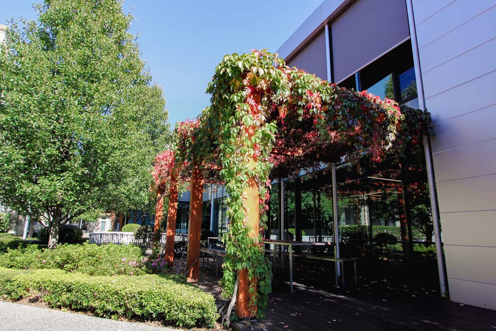St Catherineâ€™s Senior School